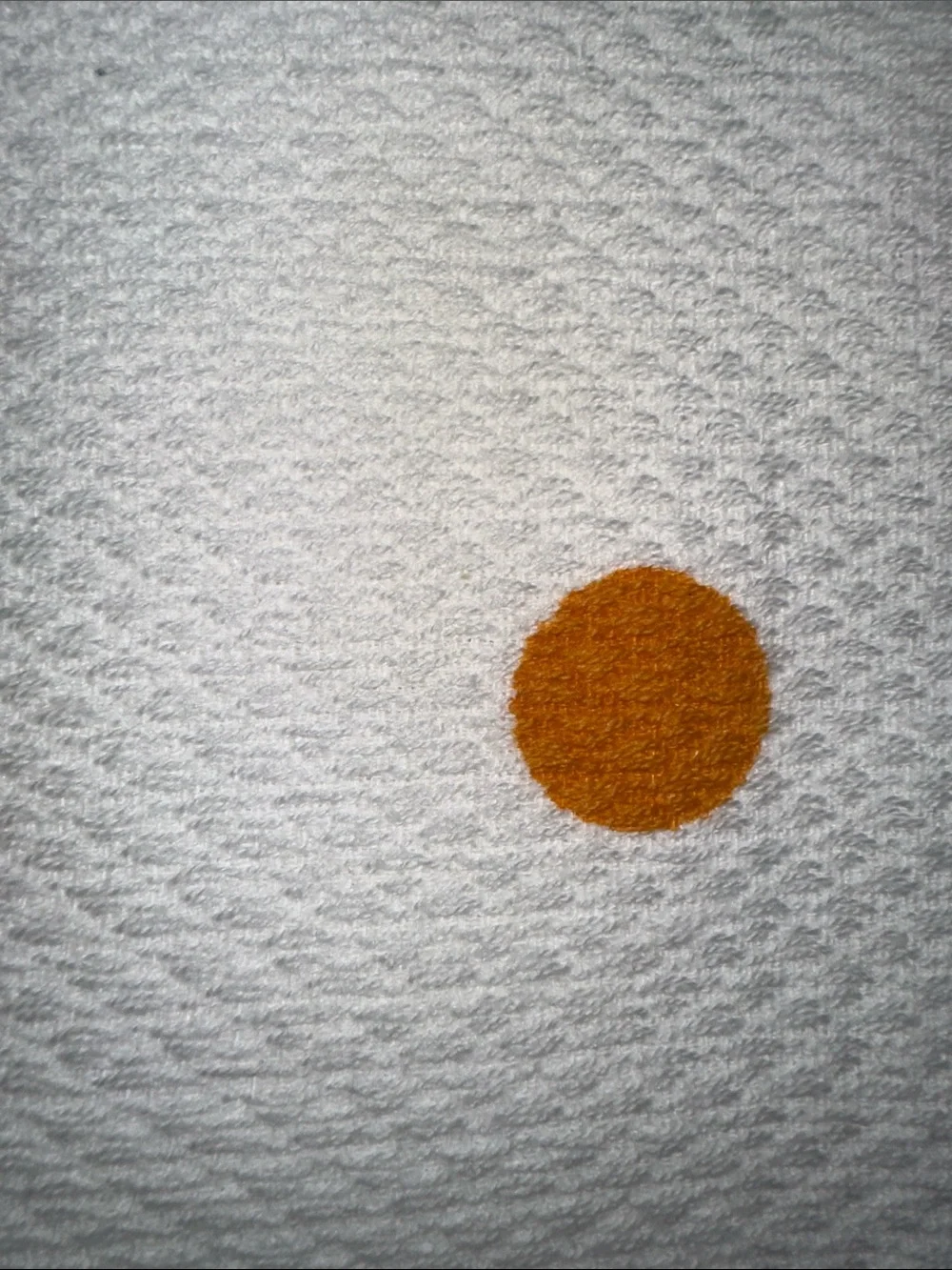 kate spade Coastal White Navy Orange Graphic Large Polka Cotton Kitchen Towels